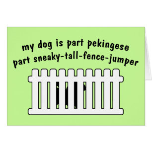 Part Pekingese Part Fence-Jumper