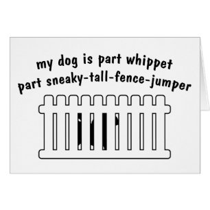 Part Whippet Part Fence-Jumper