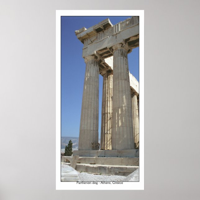 Parthenon dog poster (Front)
