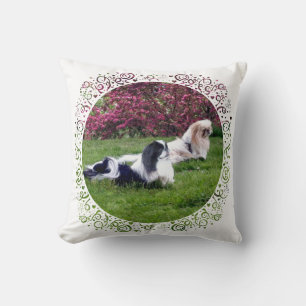 Parti-Colour Pekingese Dogs Cushion