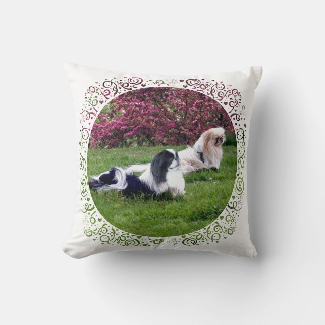 Parti-Colour Pekingese Dogs Cushion (Front)