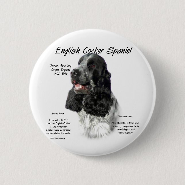 Parti English Cocker Spaniel History 6 Cm Round Badge (Front)