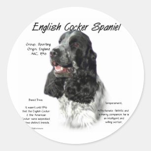 Parti English Cocker Spaniel History Classic Round Sticker