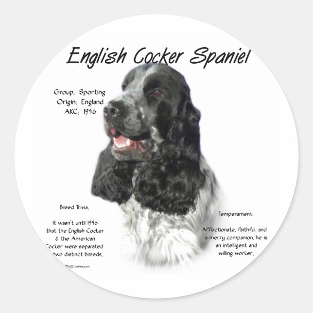 Parti English Cocker Spaniel History Classic Round Sticker (Front)