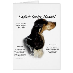 Parti Roan English Cocker Spaniel History