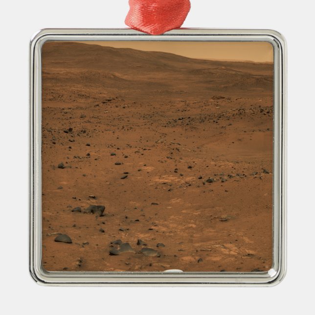 Partial Seminole panorama of Mars Metal Tree Decoration (Front)