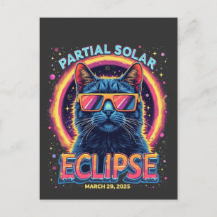 Partial Solar Eclipse 2025 Cat Kitten Holiday Postcard