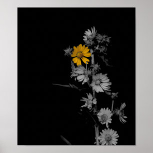 Partially Colourized Black and White Flower Poster