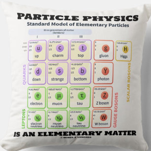 Particle Physics Is An Elementary Matter Model Cushion