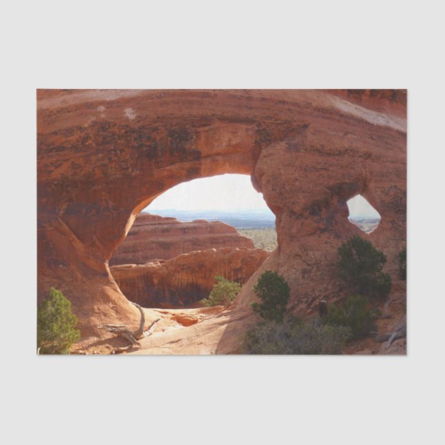 Partition Arch at Arches National Park Tissue Paper (Front)