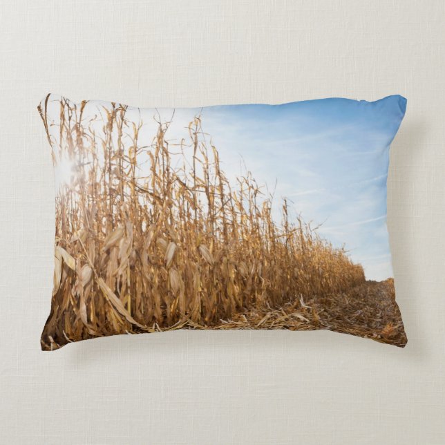 Partly Harvested Corn Field Decorative Cushion (Front)