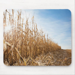 Partly Harvested Corn Field Mouse Mat