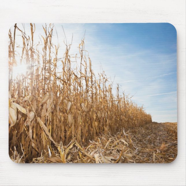 Partly Harvested Corn Field Mouse Mat (Front)