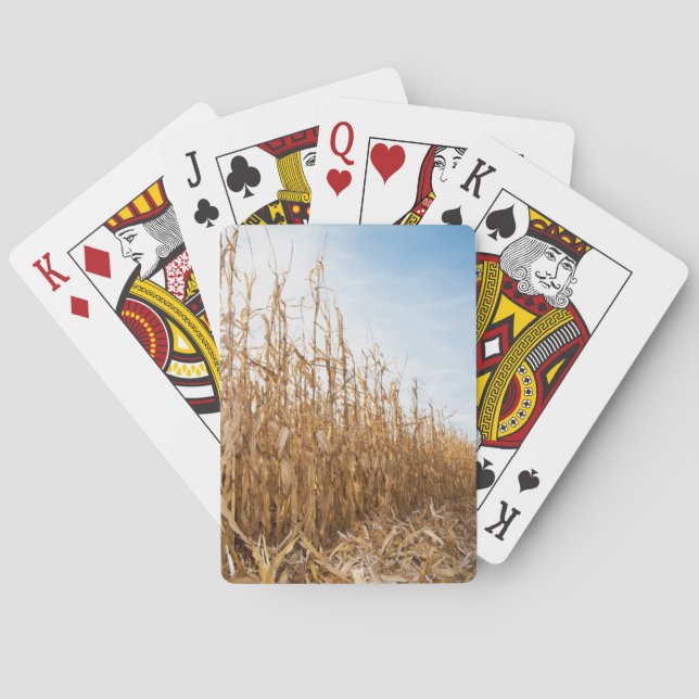 Partly Harvested Corn Field Playing Cards (Back)