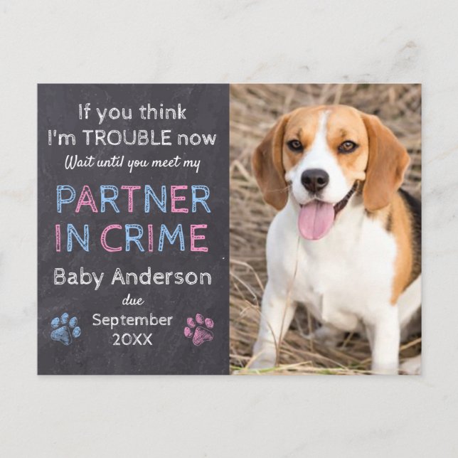 Partner in Crime Dog Pregnancy Announcement (Front)