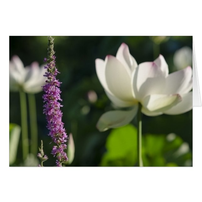 Partners (Front Horizontal)