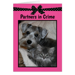 “Partners in Crime”