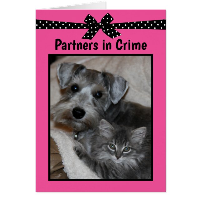 “Partners in Crime” (Front)