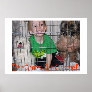 Partners In Crime! Poster