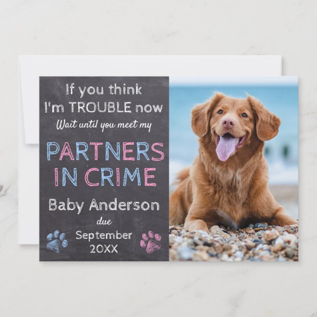Partners in Crime Twin Baby Family Dog Pregnancy Announcement (Front)