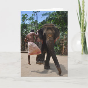 Partners, Southern India Card