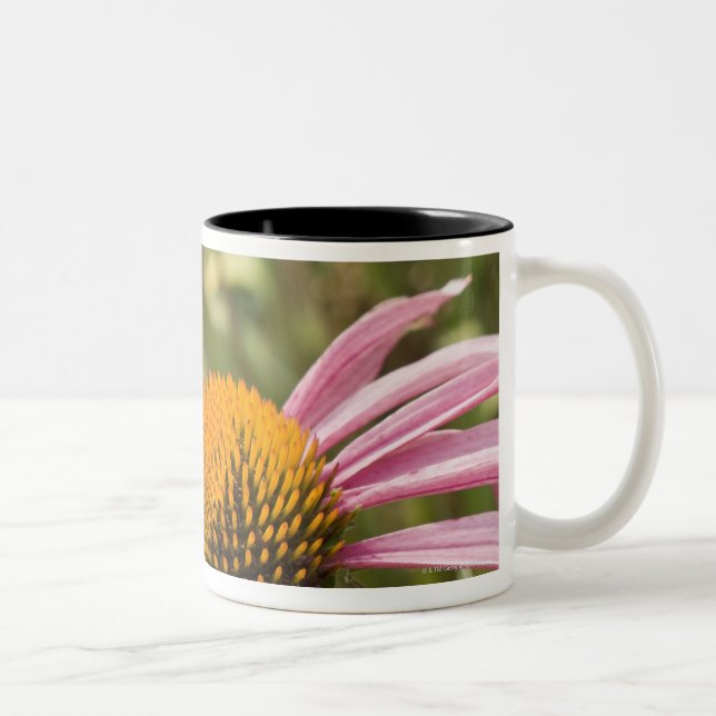 partnership, symbiotic, helping, beauty, Two-Tone coffee mug (Right)