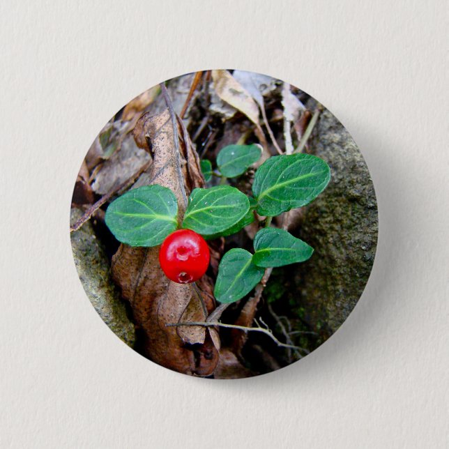 Partridge Berry Wildflower 6 Cm Round Badge (Front)