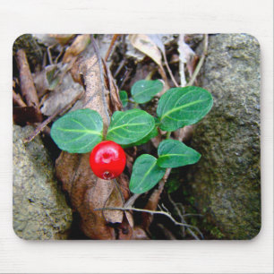 Partridge Berry Wildflower Mouse Mat