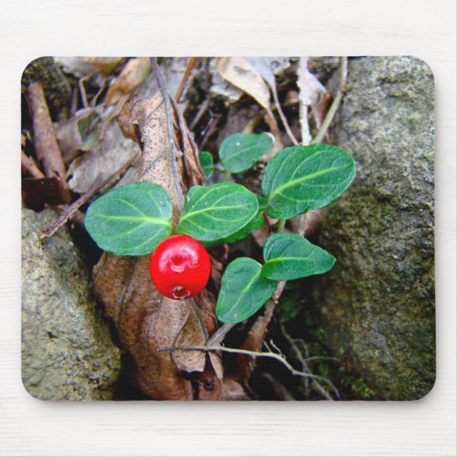 Partridge Berry Wildflower Mouse Mat (Front)