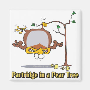 partridge in a pear tree 1st first day christmas magnet