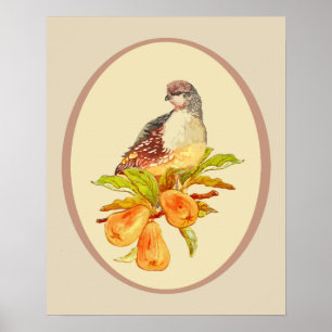 Partridge in a Pear Tree Christmas Song Quote Poster