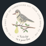 Partridge in a Pear Tree Classic Round Sticker<br><div class="desc">Adorable Christmas illustration hand painted by Shelby Allison featuring 1 partridge in a pear tree.</div>