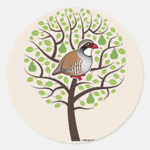 Partridge in a Pear Tree Classic Round Sticker