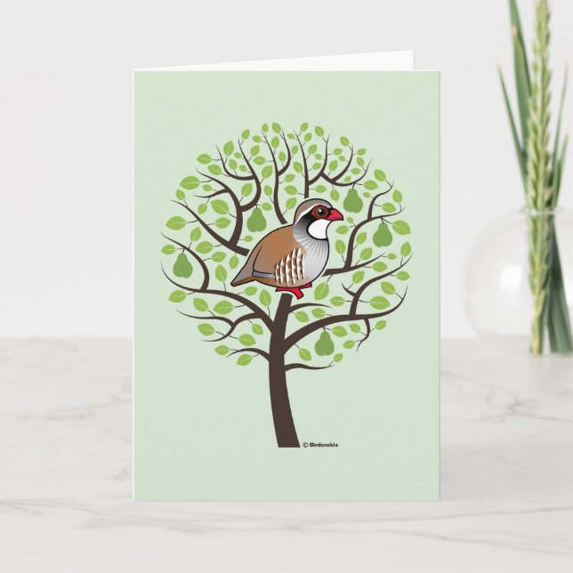 Partridge in a Pear Tree Holiday Card (Front)