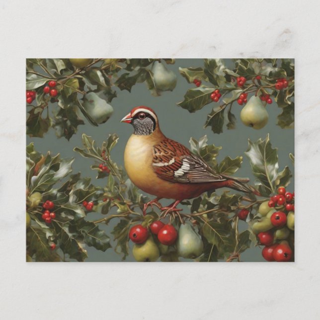 Partridge in a pear tree holiday postcard (Front)