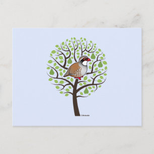 Partridge in a Pear Tree Postcard