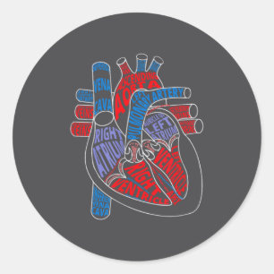 Parts Of Heart Anatomical Heart Gift For Cardiolog Classic Round Sticker