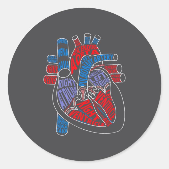 Parts Of Heart Anatomical Heart Gift For Cardiolog Classic Round Sticker (Front)