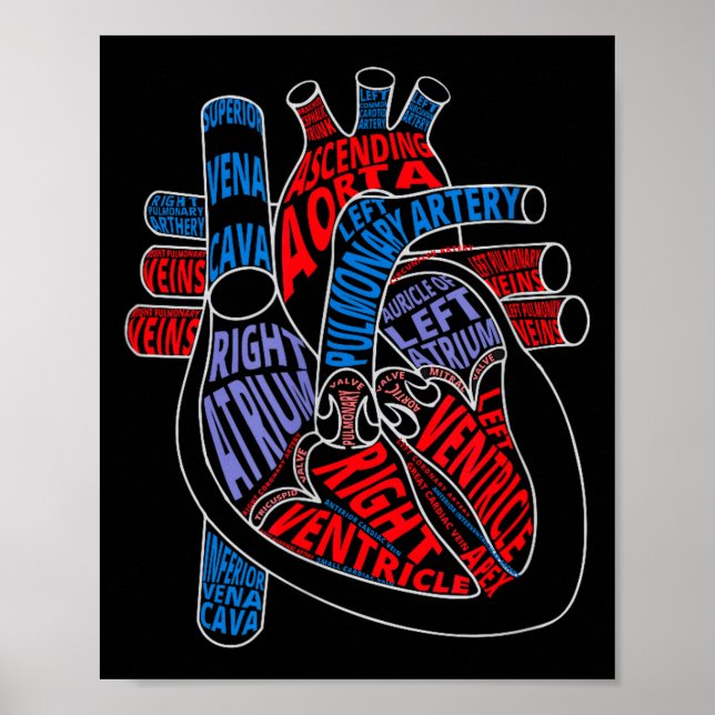 Parts Of Heart Anatomical Heart Gift For Cardiolog Poster (Front)