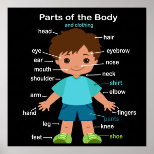 Parts of the Body Poster