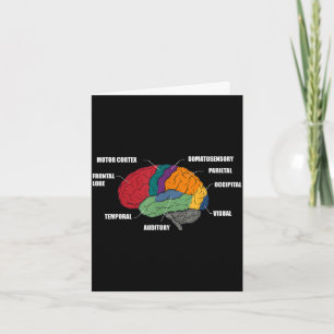 Parts of the brain anatomy colourful diagram card
