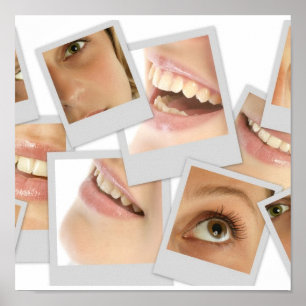 parts of the face poster