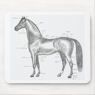 Parts of the Horse Mousepad
