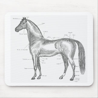 Parts of the Horse Mousepad