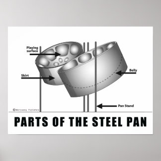 Parts of the steel pan Poster