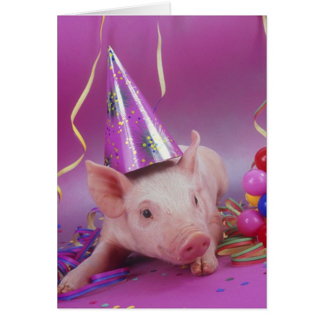 Party animal! (Front)