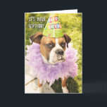 Party Animal Birthday Card<br><div class="desc">Funny photograph of Logan the boxer dressed up and ready to party.</div>