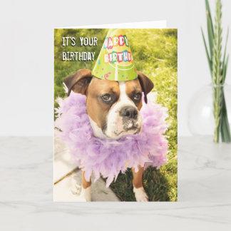 Party Animal Birthday Card