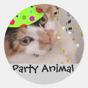 Party Animal/Calico Cat Classic Round Sticker