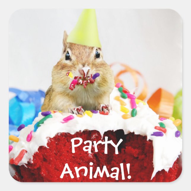 Party Animal Chipmunk Sticker (Front)